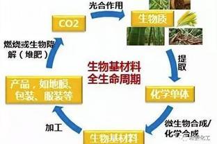 TDI與生物基材料市場動態解析 價格走勢與銷售趨勢報告
