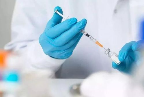 事件對撞與企穩躍遷 武漢商業迎來洗牌季