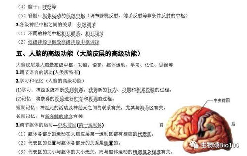 期末沖刺 高中生物必修三基礎知識點匯總，考前必看